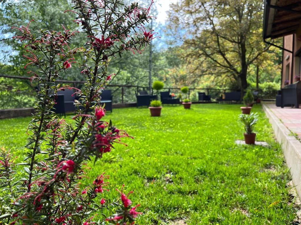 Agriturismo Tre Elle Acri Ngoại thất bức ảnh
